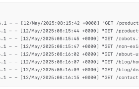 Unlocking SEO Insights Through Log File Analysis